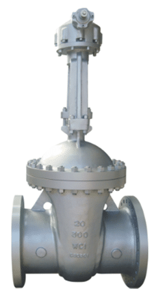 API 600 Cast Steel Gate Valves