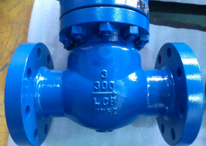 A352 LCB Check Valve