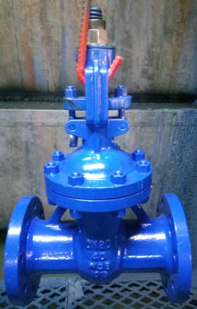 Gate Valve, Carbon Steel, PN40