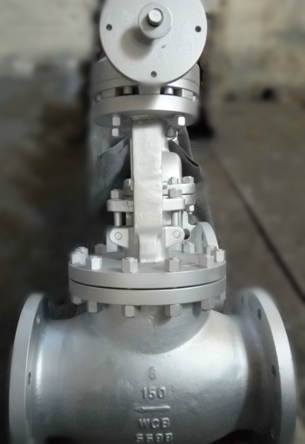 Gear Operated Globe Valve, Flanged