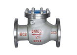 Gost Standard Check Valve