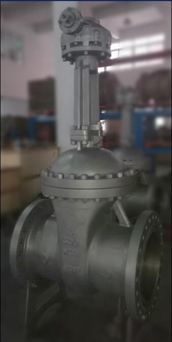 Petrochemical Wedge Gate Valves